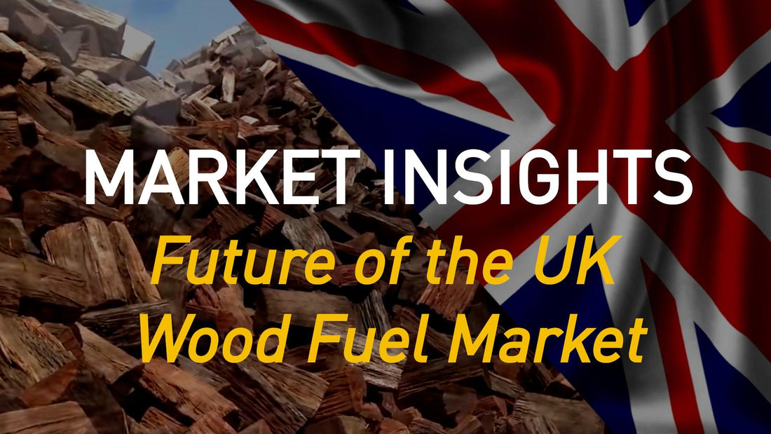 Insights on the Future of the UK Wood Fuel Market