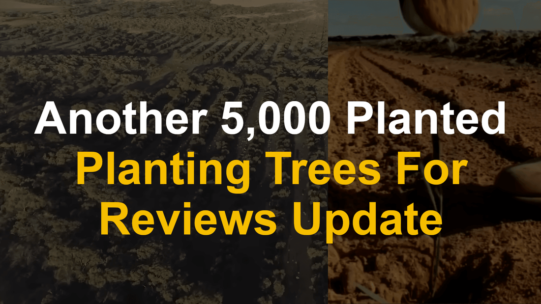 Another 5,000 Trees Planted: One Tree Per Review Update