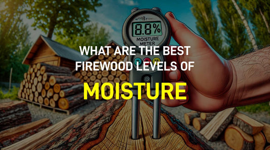 What Level of Moisture is Ideal For Firewood Logs?