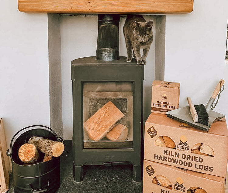 Cat Standing on a Wood Burner surrounded by Kiln Dried Birch Firewood