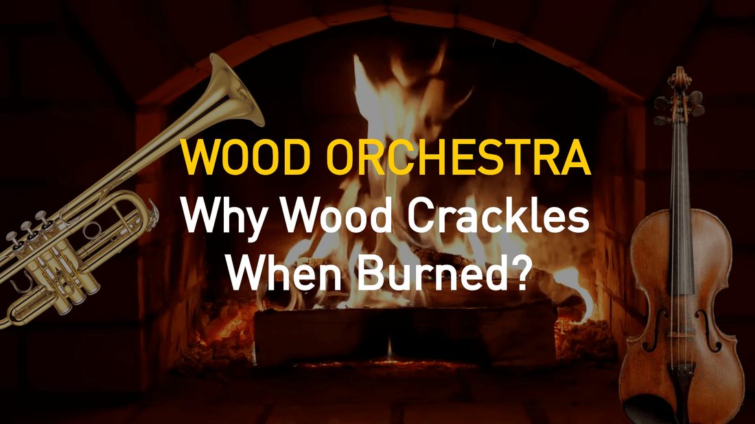 The Orchestra Inside Your Wood Burner: Why Does Fire Crackle?