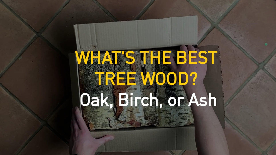 Best Fire Wood Species: Why Oak, Birch, and Ash Stand Out