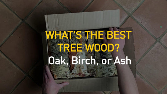 Best Fire Wood Species: Why Oak, Birch, and Ash Stand Out