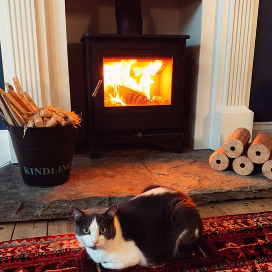 Should I Use Kindling Or Firelighters?