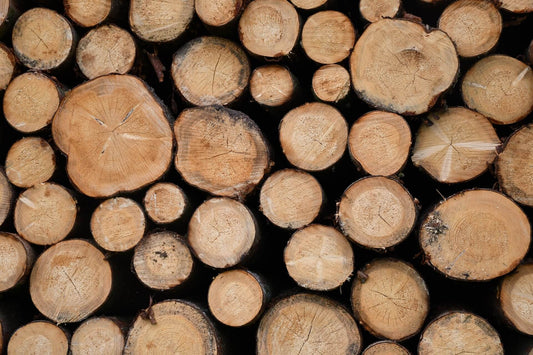 What Is Wet Wood & Why Should You Avoid It?