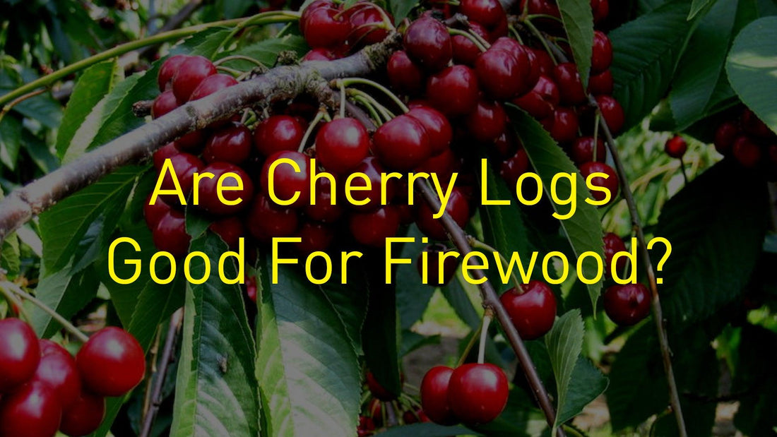 Cherry Logs & Firewood: All You Need to Know About Burning Cherry