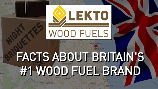 All You Need to Know About Lekto | History, Products, Headquarters & Facts