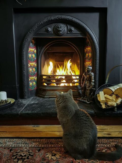 UK To Ban House Coal and Wet Wood by 2023 to Cut Pollution