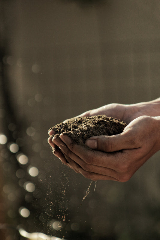 Great Uses For Your Wood Ash