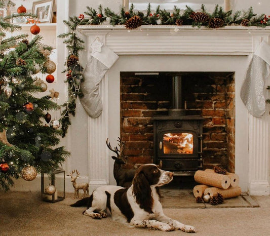 What Is The Best Stove For You?