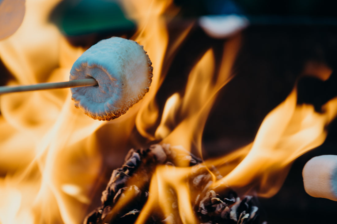 5 Reasons To Have A Campfire This Summer