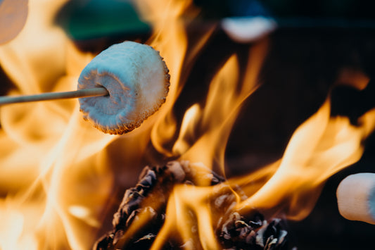 5 Reasons To Have A Campfire This Summer