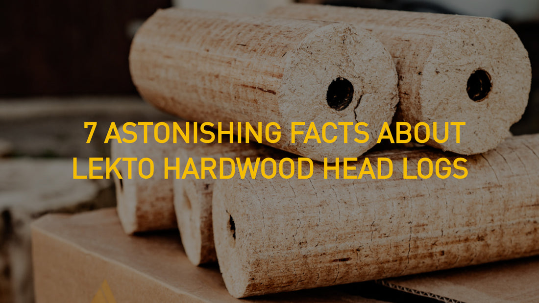 7 Astonishing Facts About Lekto Heat Logs Written over an image of heat logs